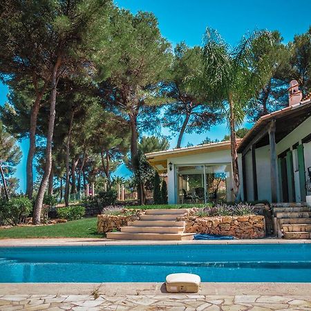 Villa Defendum Vallauris Dış mekan fotoğraf